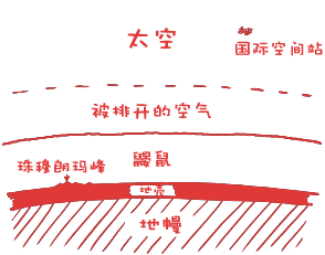 WI?004-一摩尔鼹鼠-A MOLE OF MOLES